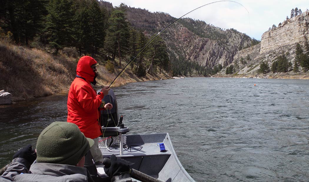 angler with a hooked trout on a montana jet boat fishing trip