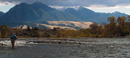 scenic shot of yellowstone river in late fall