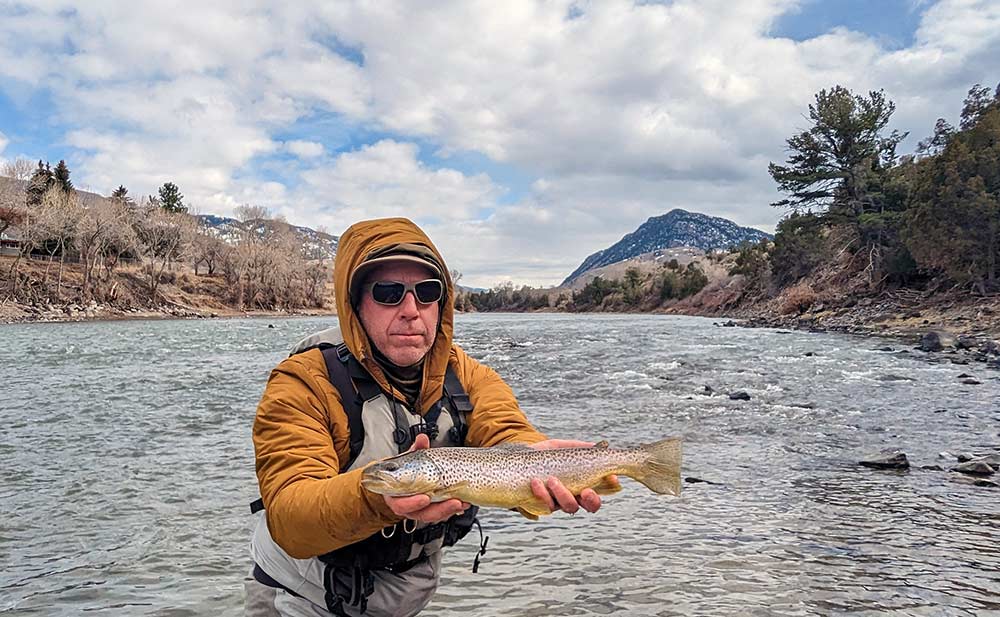 angler with brown trout on yellowstone river