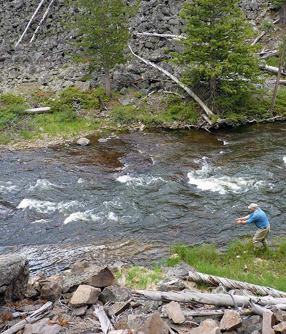 Angler fishing a fast-flowing mountain river in Yellowstone Park