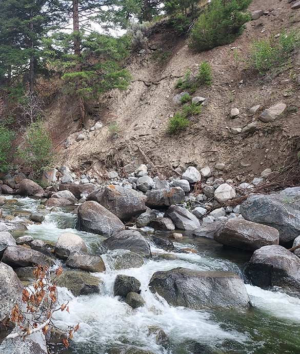Typical rough and tumble Montana Creek