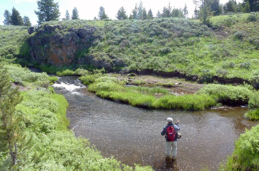 angler fishing a creek in yellowstone park