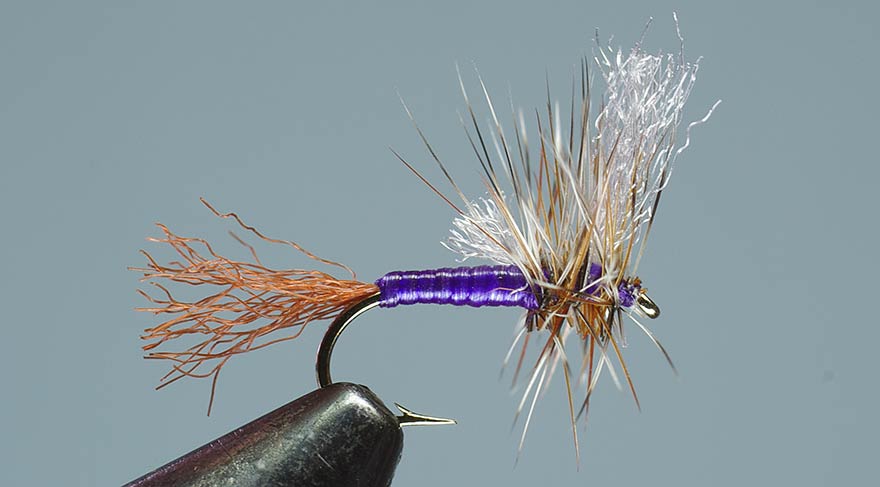 purple hazy cripple fly, a top pattern for our livingston montana fly fishing guides