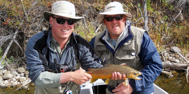 large fall-run brown trout in spawning colors