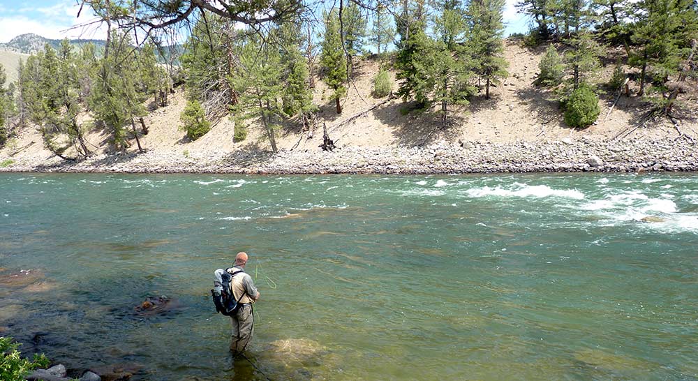angler fishing the Black Canyon of the Yellowstone River