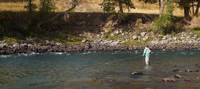 angler streamer fishing on the yellowstone river