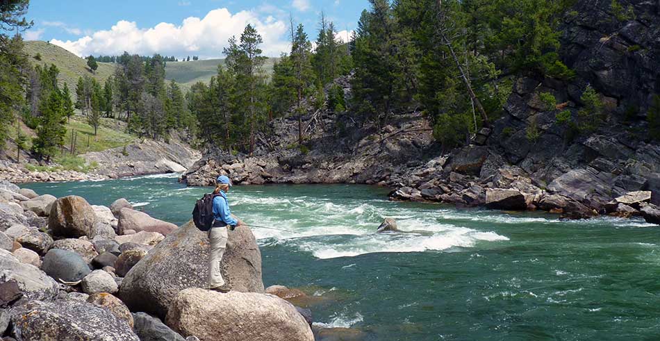 angler fishing a beautiful green whitewater canyon river