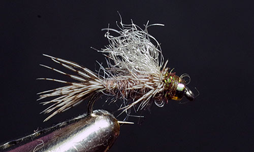 don emerger fly