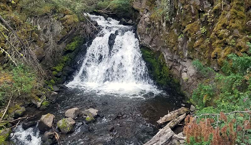 small creek waterfall