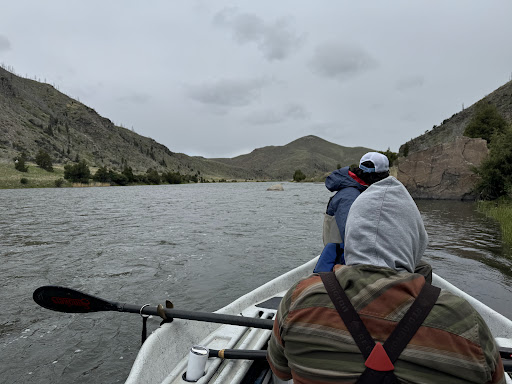 Photo from customer review