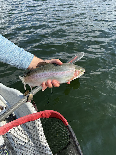 Photo from customer review