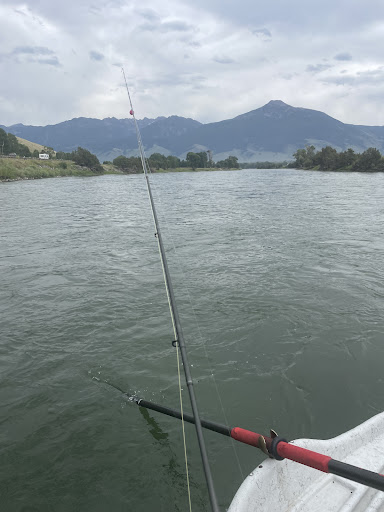 Photo from customer review