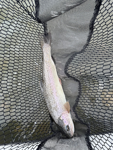 Photo from customer review