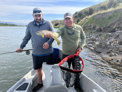 Photo from customer review