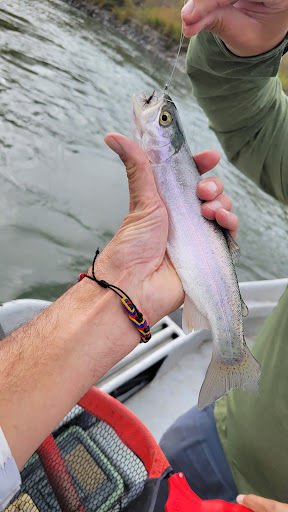 Photo from customer review