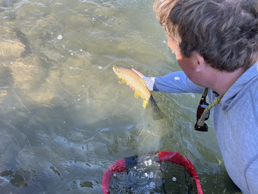 Photo from customer review