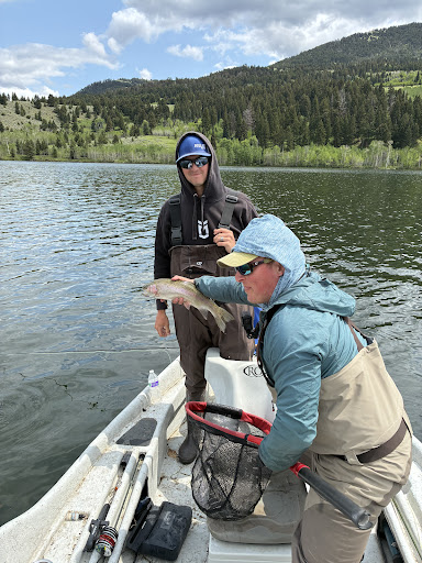 Photo from customer review