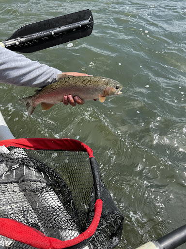 Photo from customer review