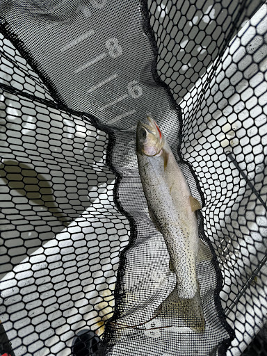 Photo from customer review