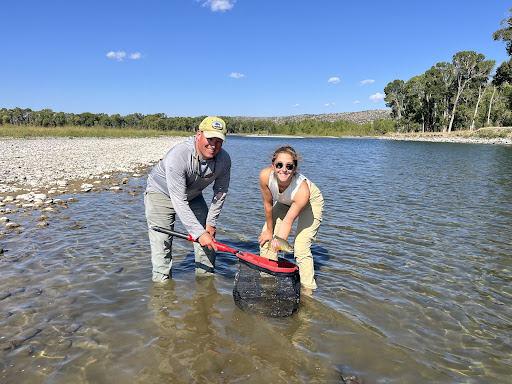 Photo from customer review