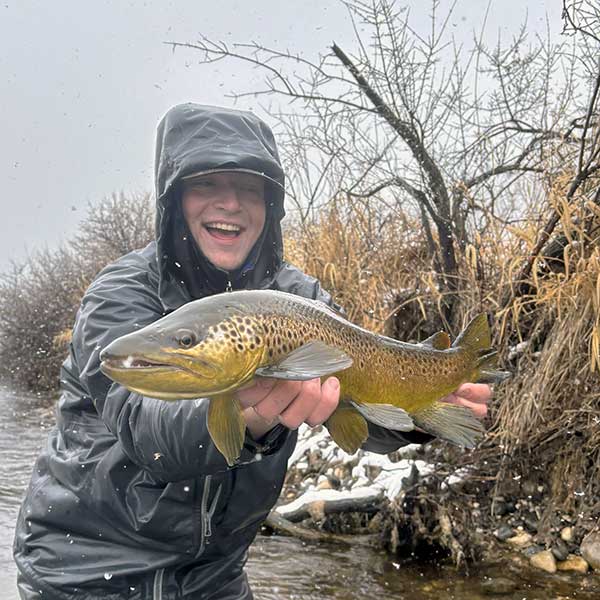 image shows guide ashton russell holding a brown trout on a snowy day