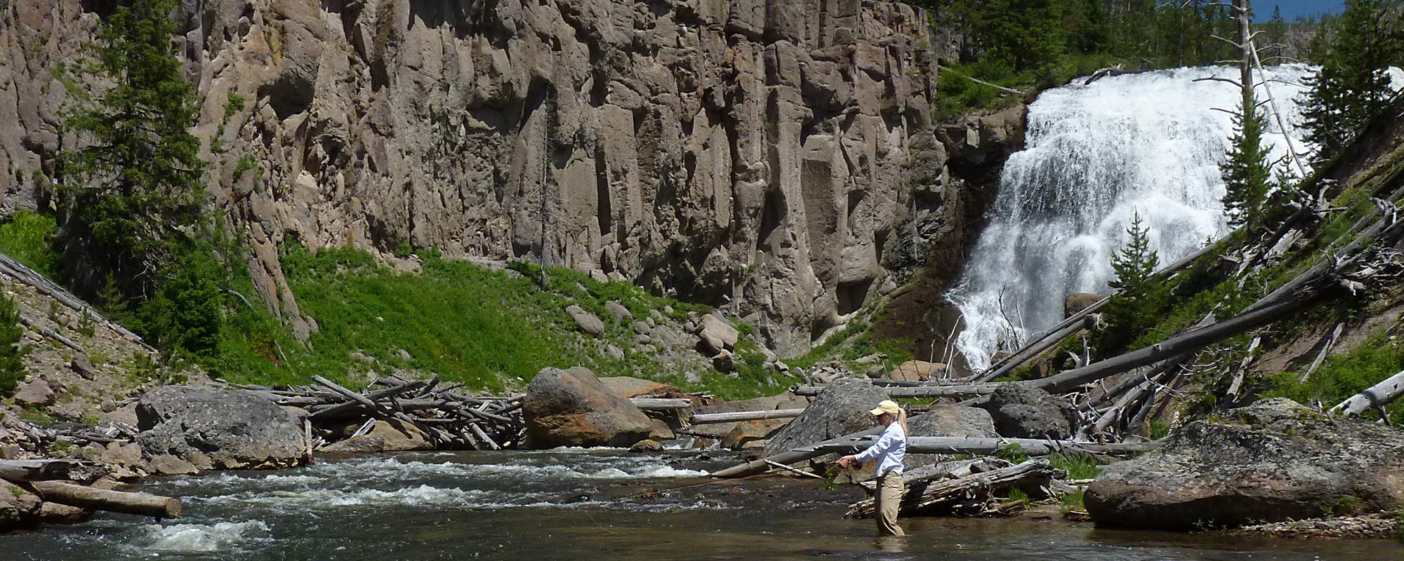 purely illustrative fishing image