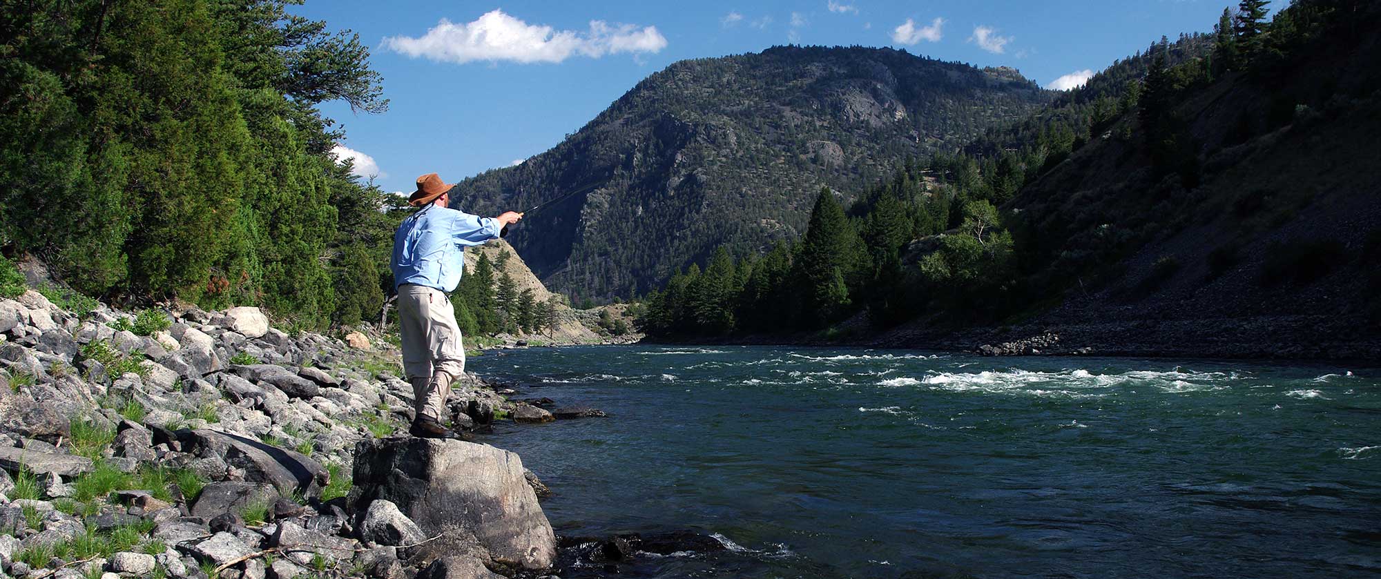 purely illustrative fishing image