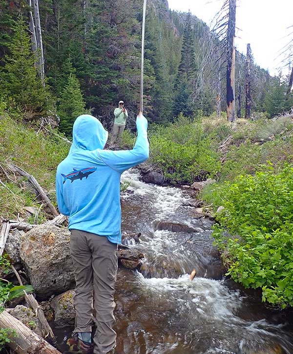 purely illustrative fishing image