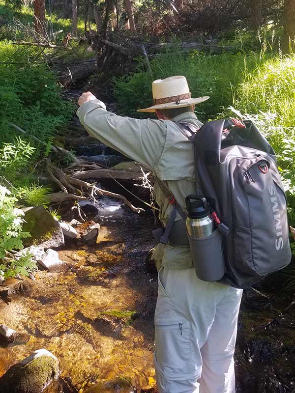 purely illustrative fishing image