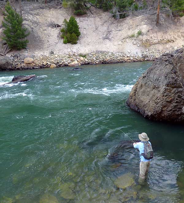 purely illustrative fishing image