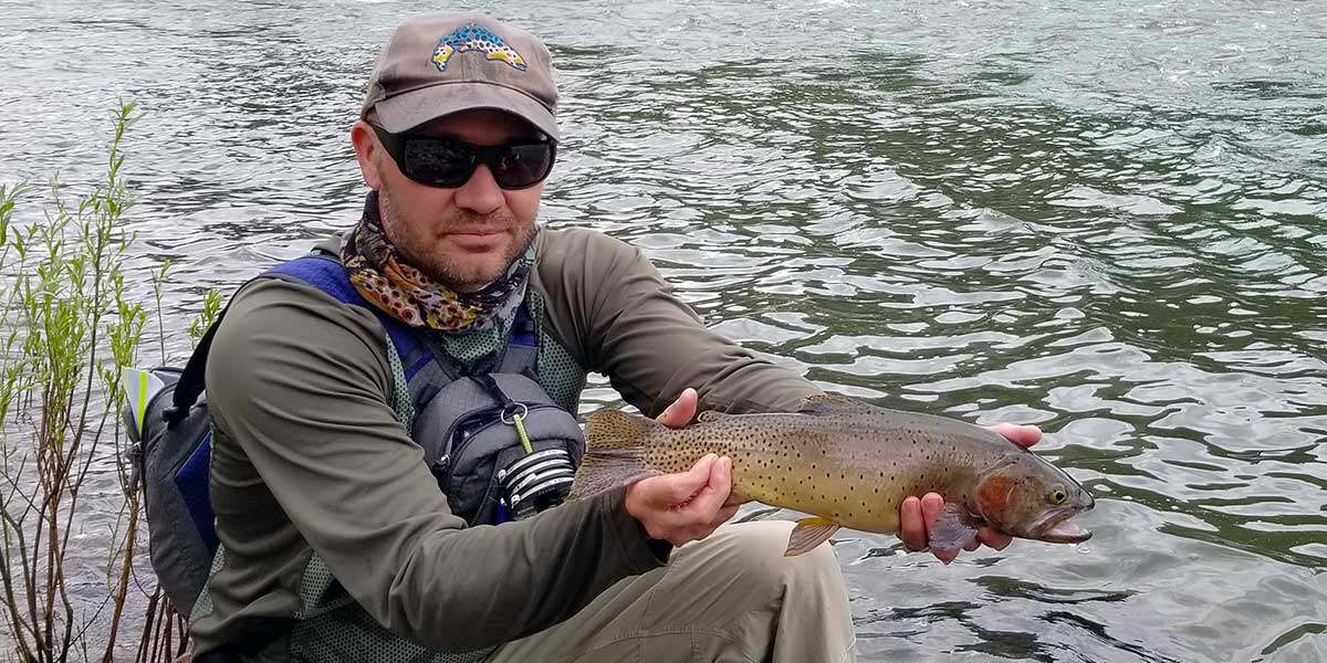 decorative image showing a fly fishing scene. may include happy angler, trout, scenery, etc