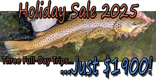 2025 holiday sale ad image