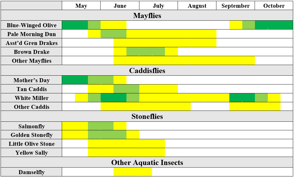 madison river system ynp hatch chart